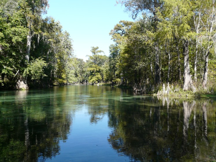 p1010786 Ichetucknee River